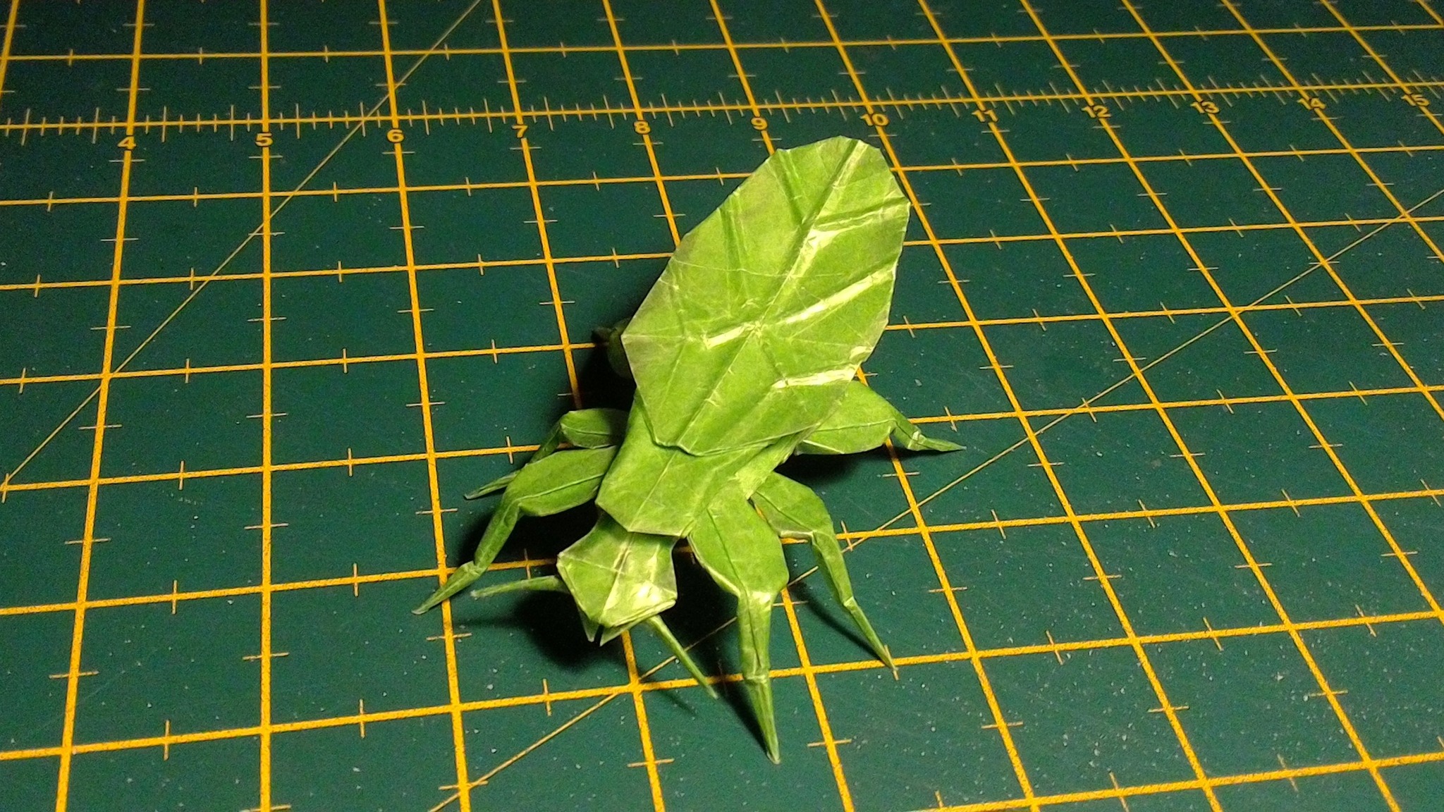 Leaf Insect